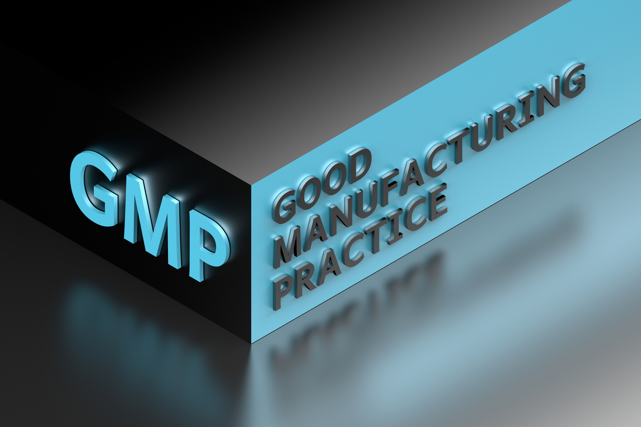 GMP Facility Compliance Program
